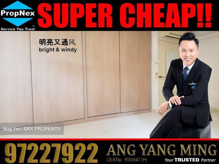 Blk 309 Clementi Avenue 4 (Clementi), HDB 4 Rooms #190375712